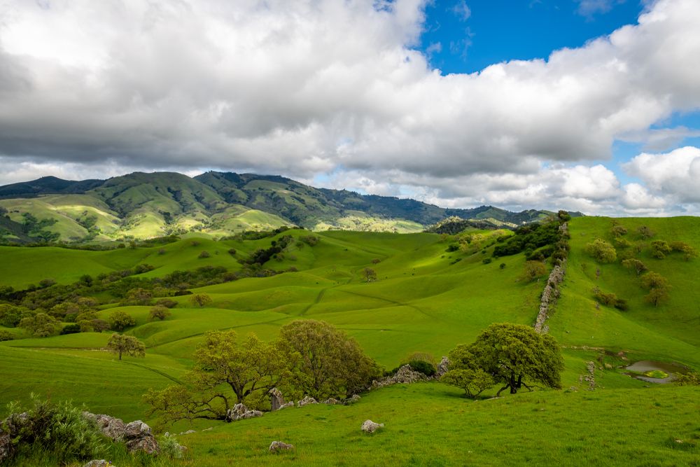 Scenic view of Diablo Hills Regional Park