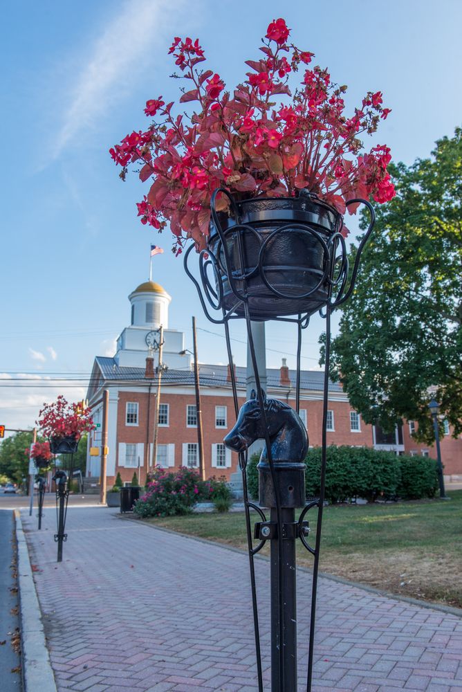 Flowers at the sidewalk of Downtown Bedford.