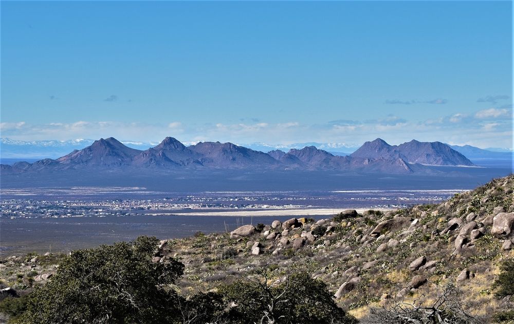 Landscape of Dripping Springs Natural Area