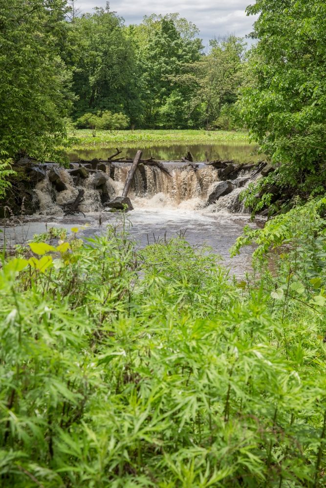 Waterfall at Duke Farms