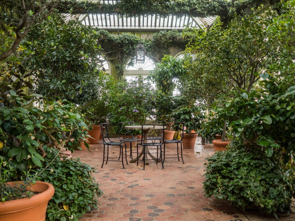 Garden at Dumbarton Oaks