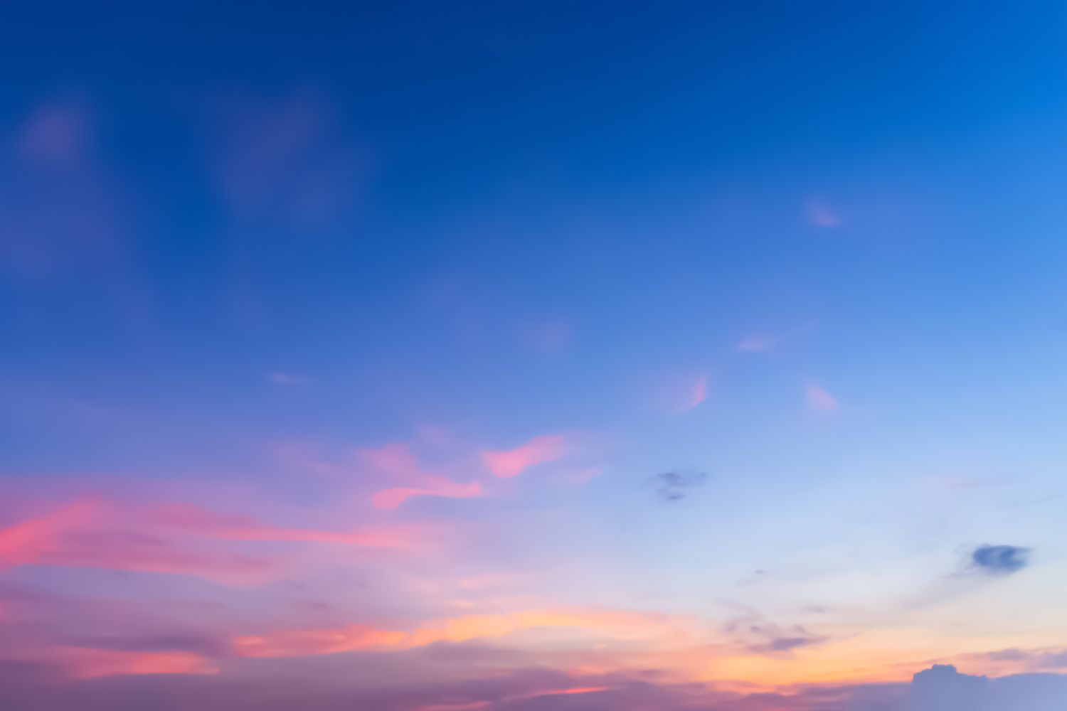 15 Best Things to Do in Duncanville, TX