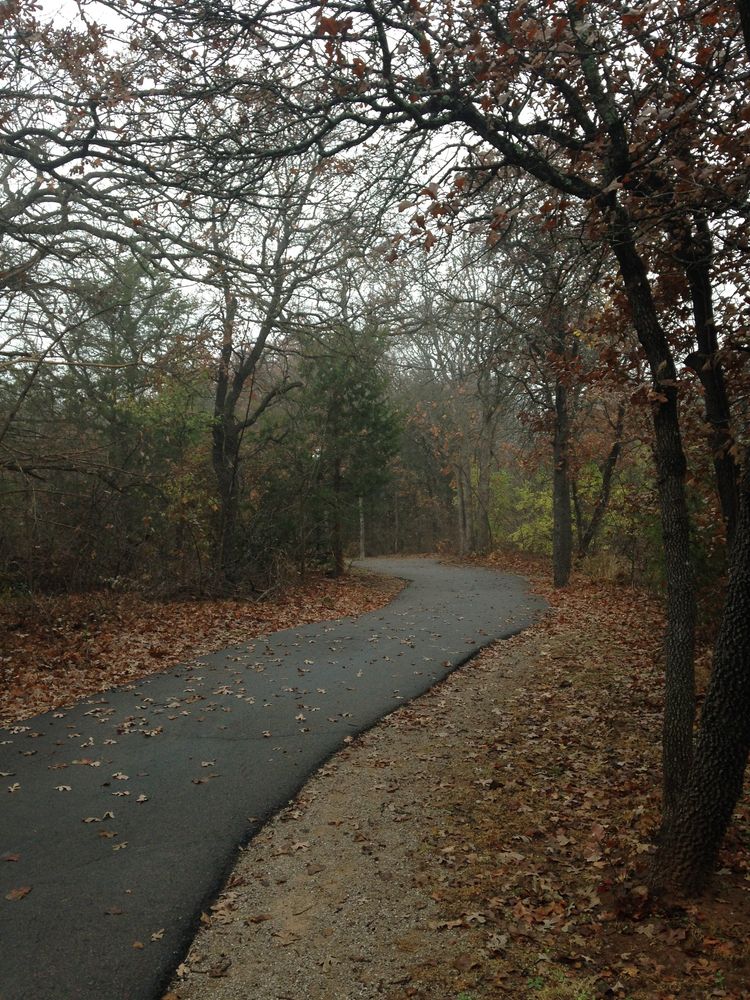Emply road with trees lining it at E.C. Hafer Park