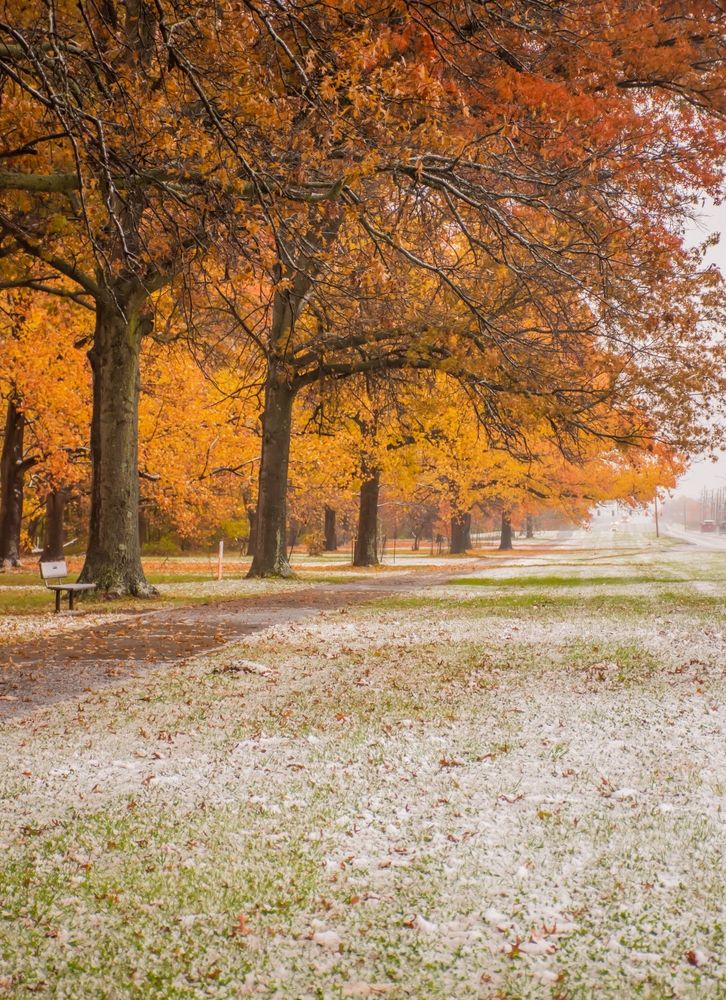 Eagle Creek Park during fall