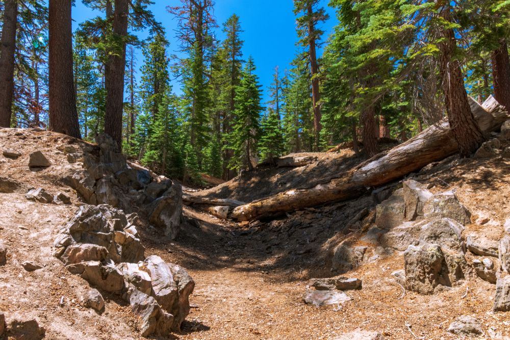The grounds of Earthquake Fault