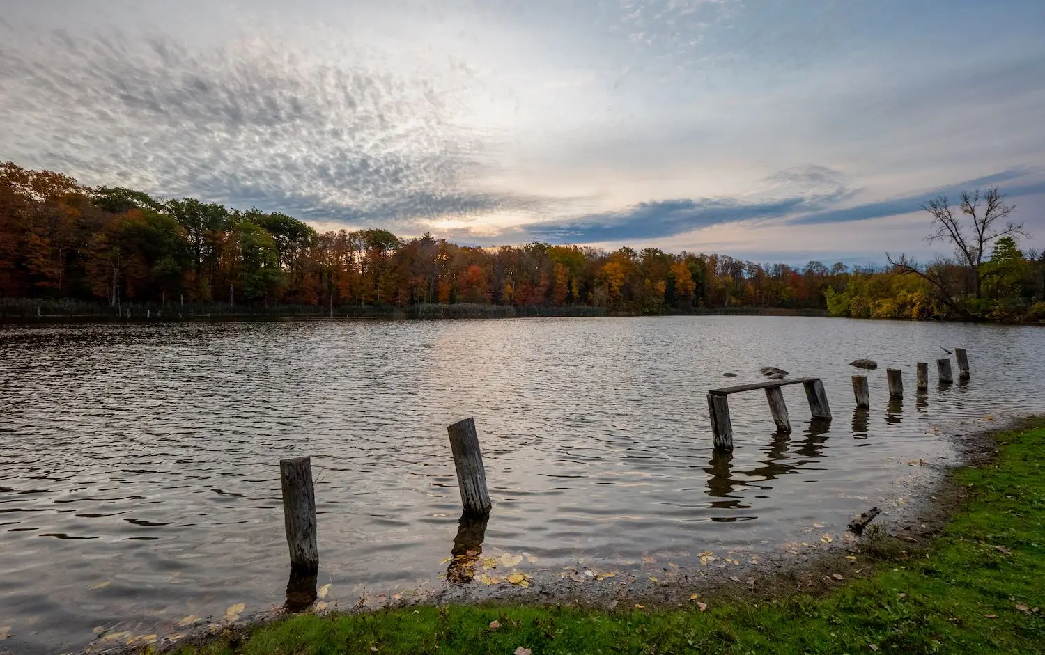 15 Best Things to Do in East Aurora, NY