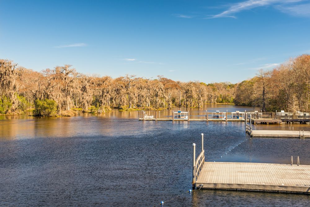 View of Edward Ball Wakulla Springs State Park