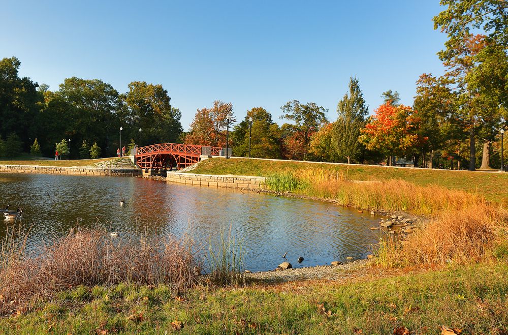 Daytime view of Elm Park