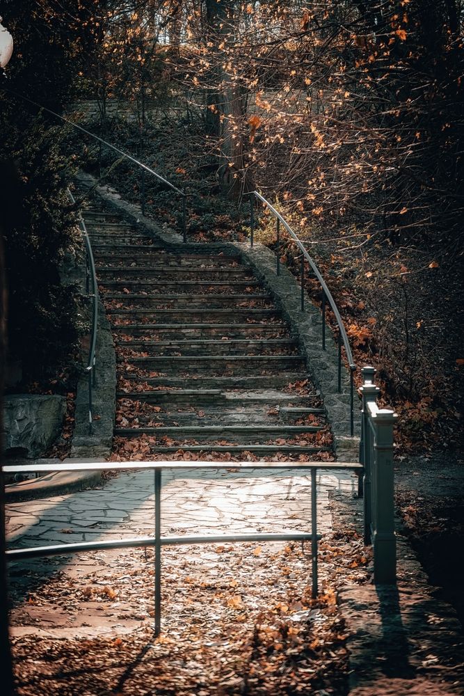 Stairs at the Elmwood Park
