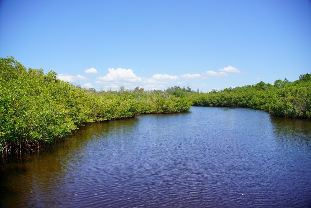 Stunning view of the river at Emerson Point Preserve