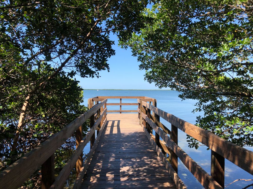 Scenic overlook at Emerson Point Preserve