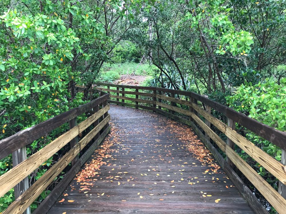 Boardwalk at Emerson Point Preserve