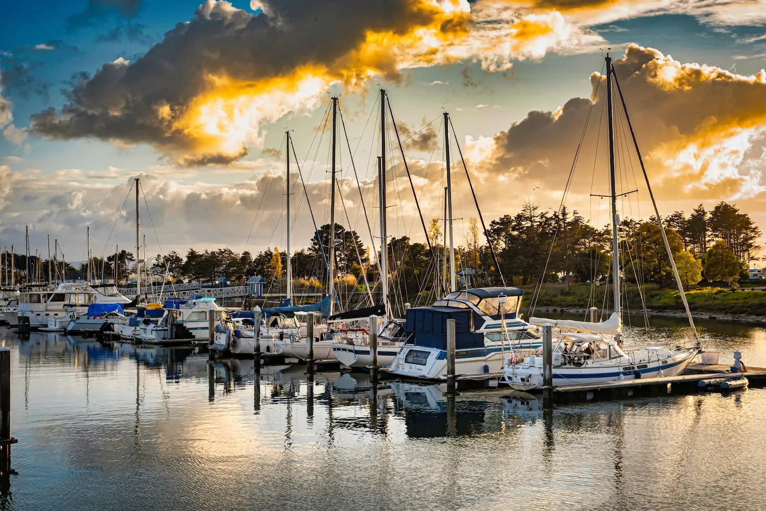 15 Best Things to Do in Emeryville, CA