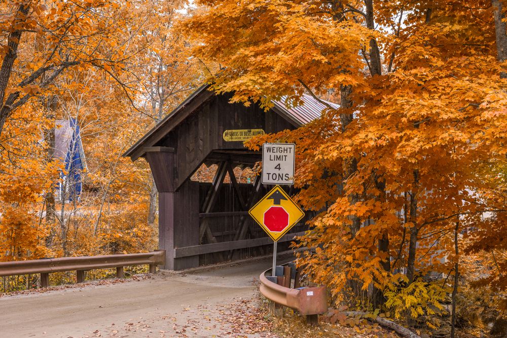 Fall scene at Emily's Covered Bridge