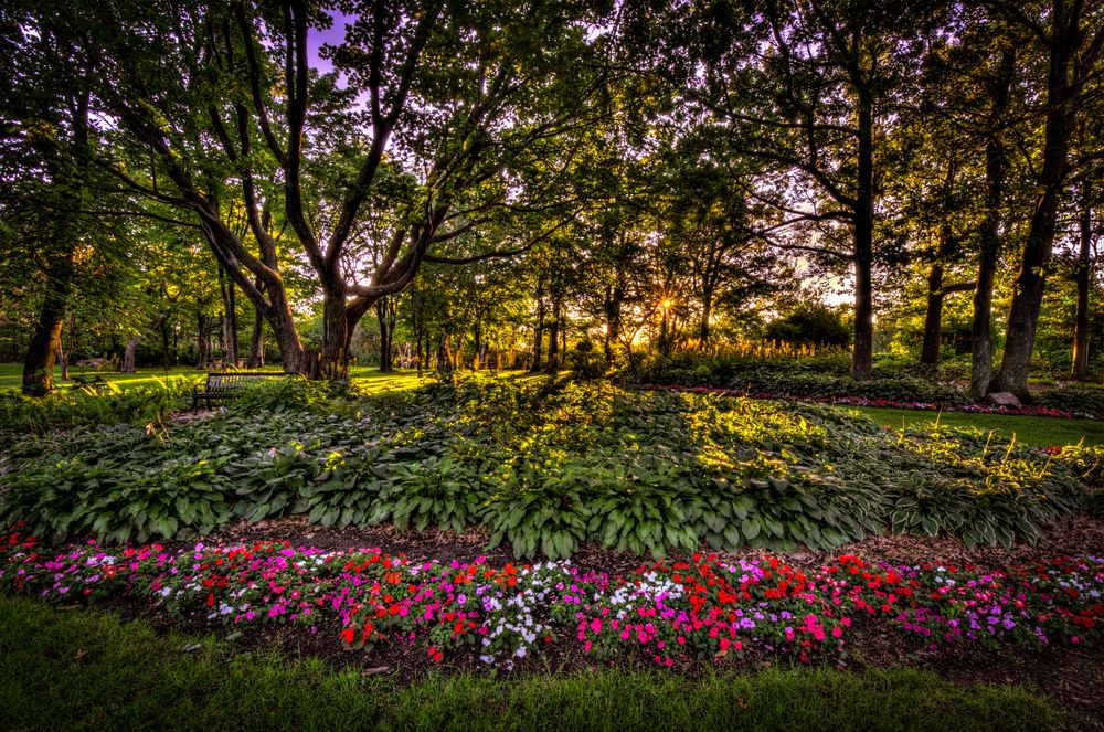 Flora at Enger Tower Park & Gardens