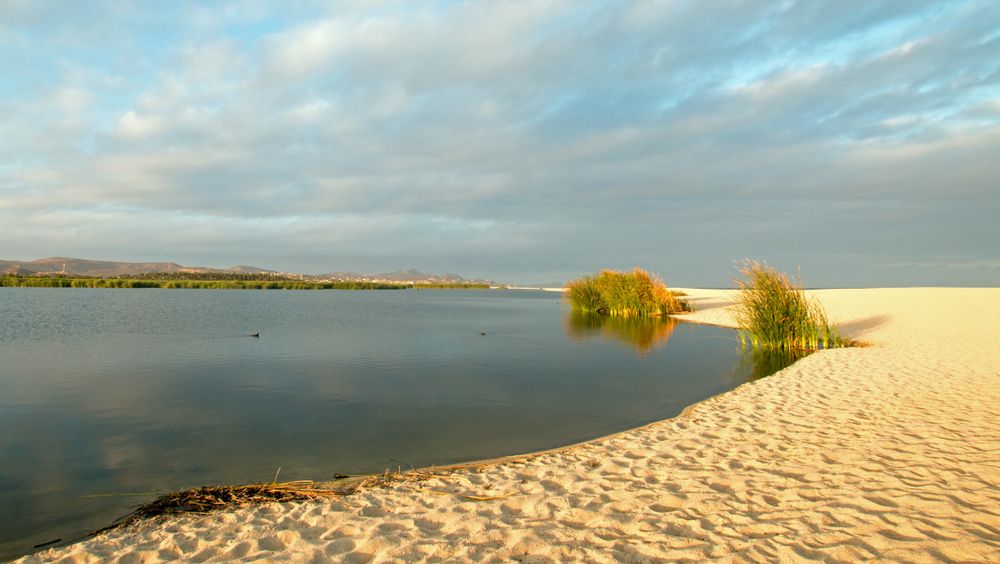 Lagoon at Estuary San Jose del Cabo