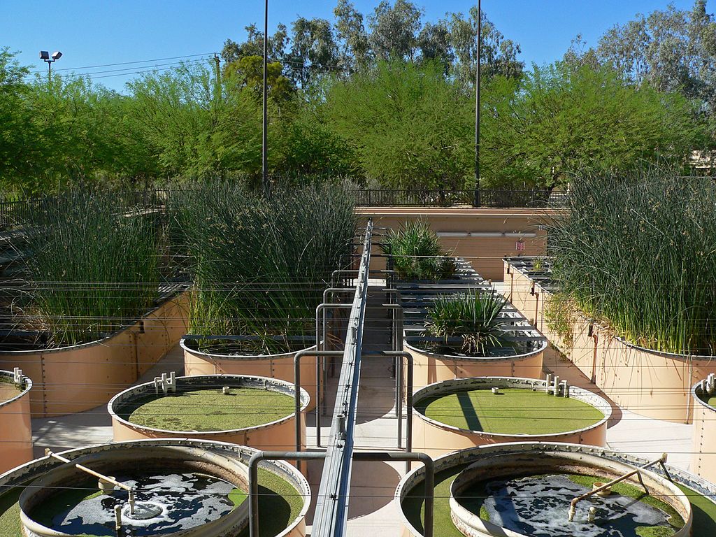 Water treatment at Ethel M Chocolate Factory and Botanical Cactus Garden