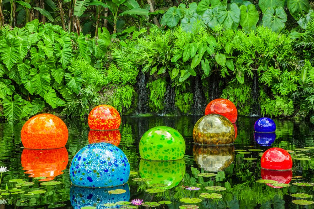 Lilly Pond at Fairchild Tropical Botanical Garden