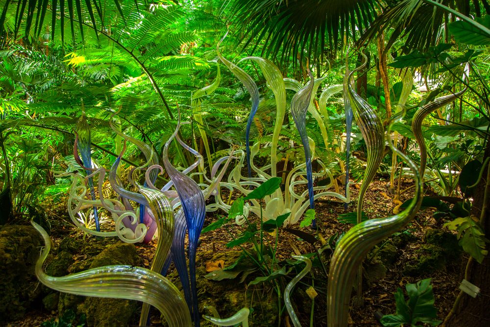 Unique glass art exhibited at Fairchild Tropical Botanical Garden