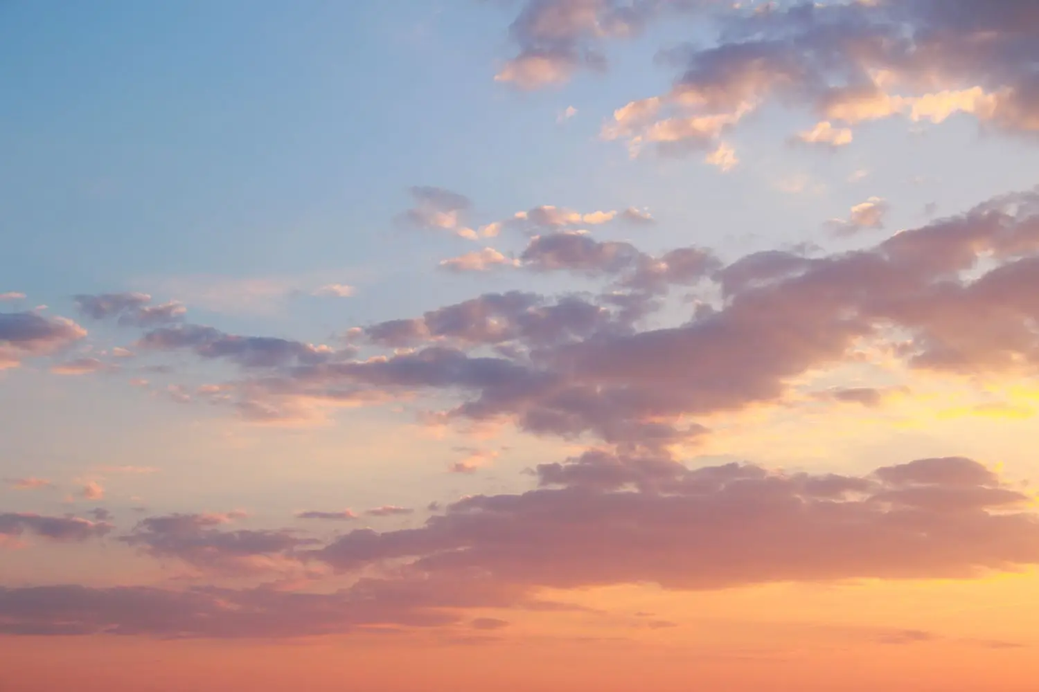 20 Best Things to Do in Fairfield Bay, AR
