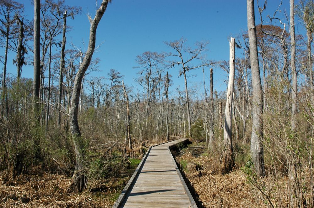 Boardwalk at Fairview-Riverside State Park