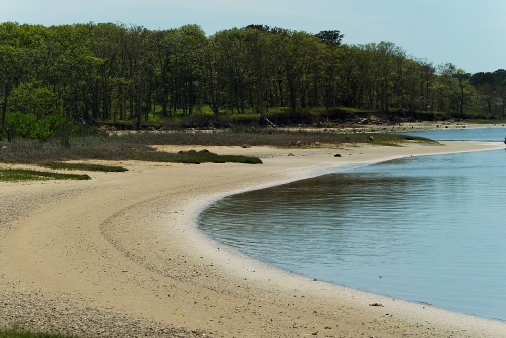 Shoreline at Felix Neck Wildlife Sanctuary