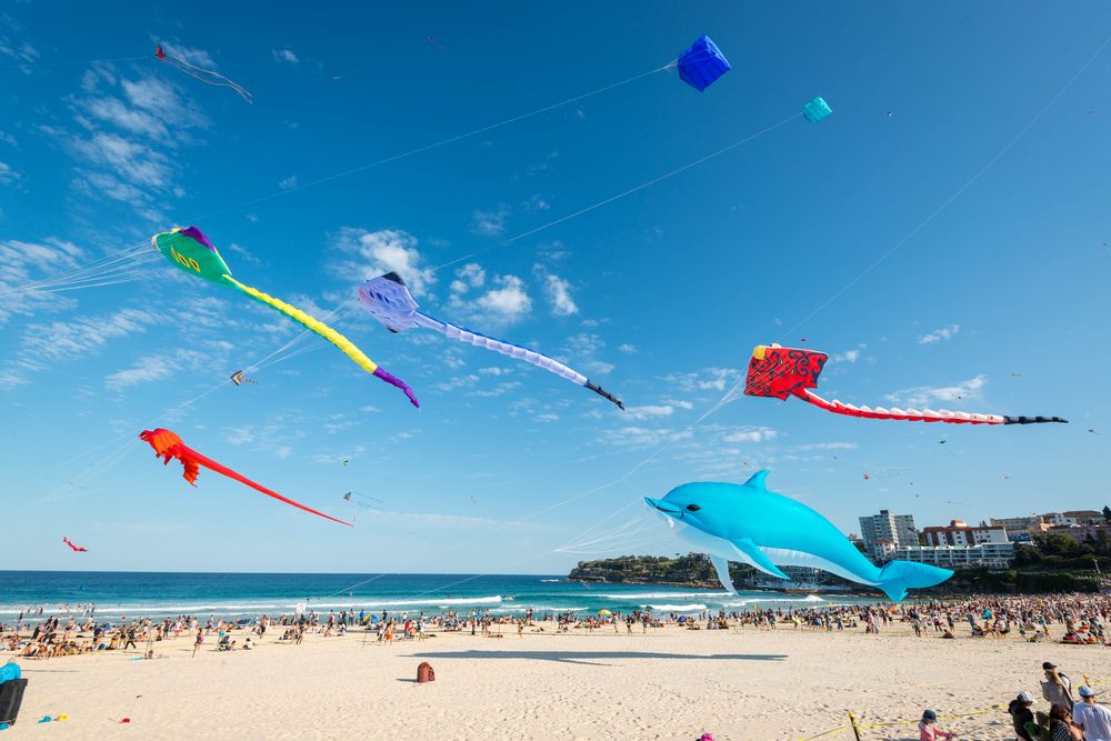Festival of the Winds