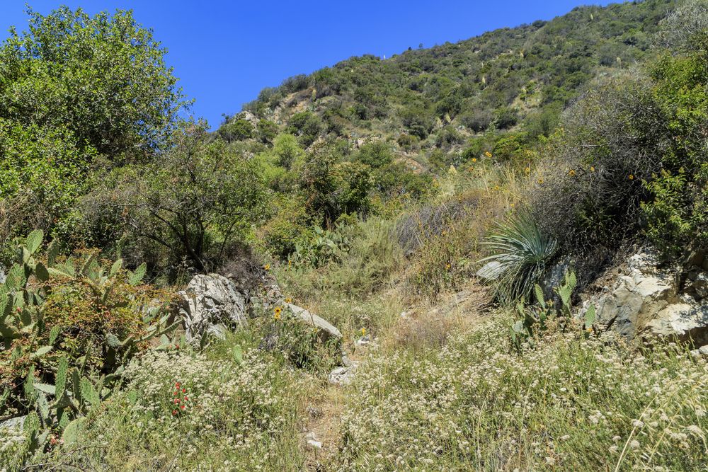 Hiking trail along the Fish Canyon Falls