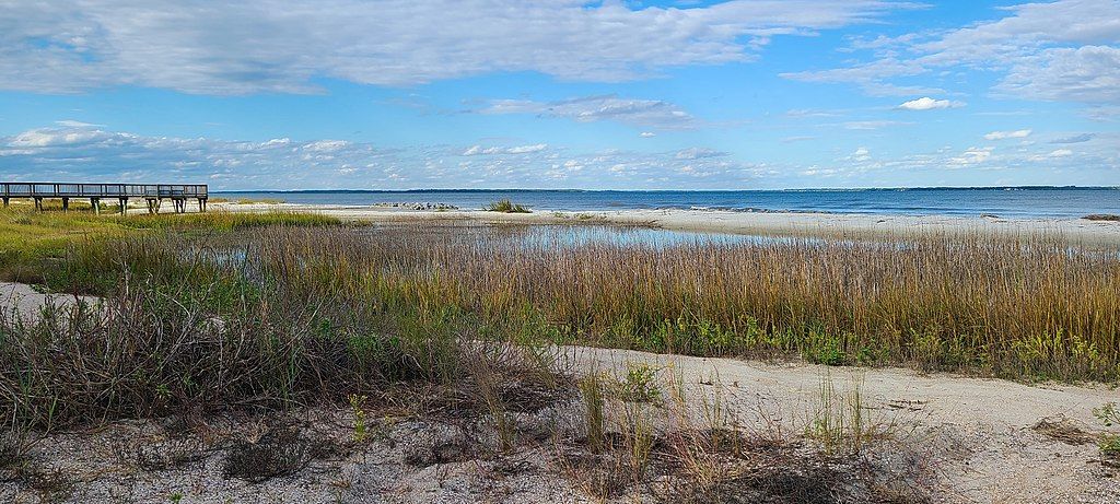 View of Fish Haul Beach Park