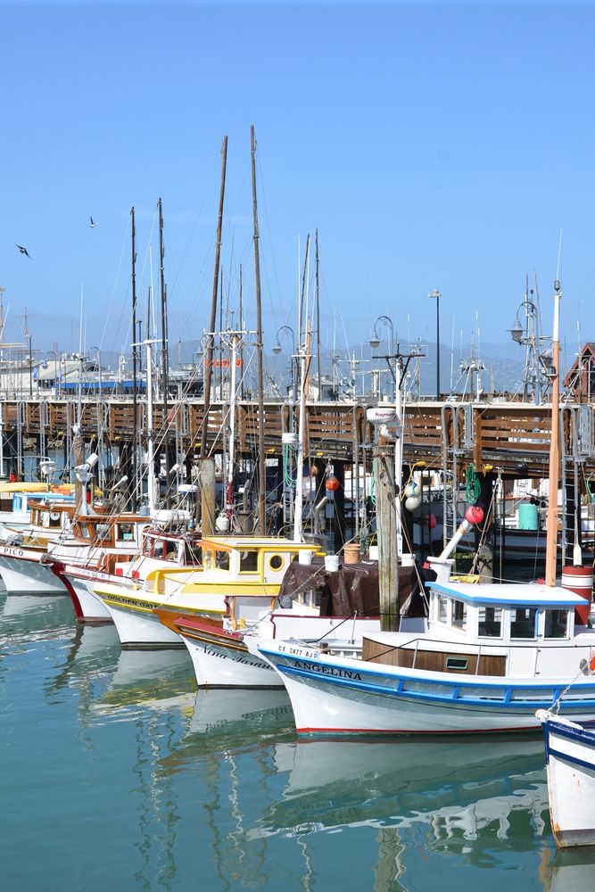 Boats docked at Fisherman’s Wharf