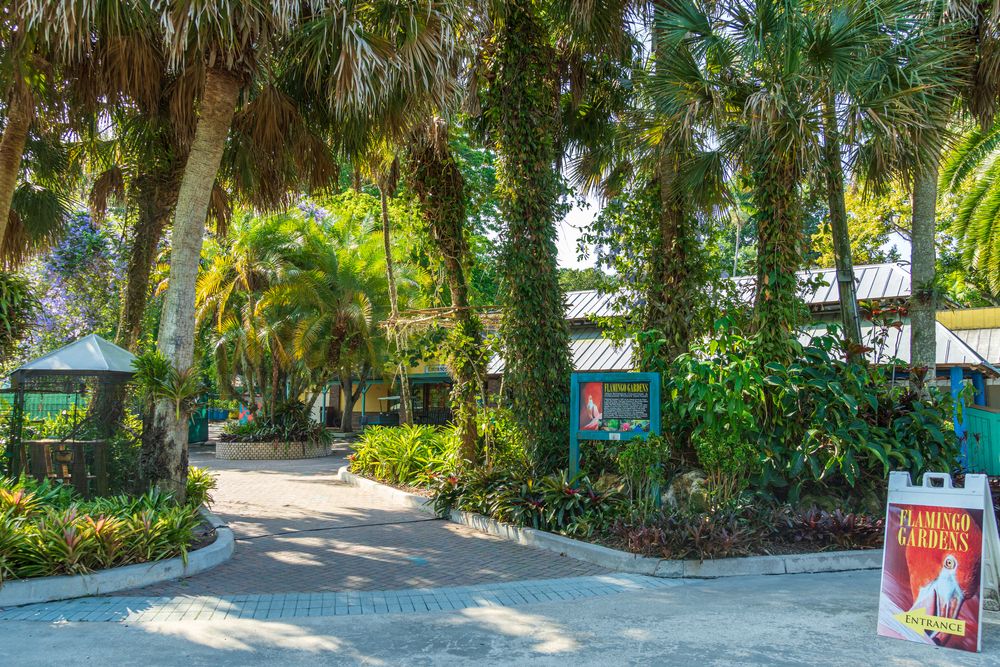 Entrance to Flamingo Gardens