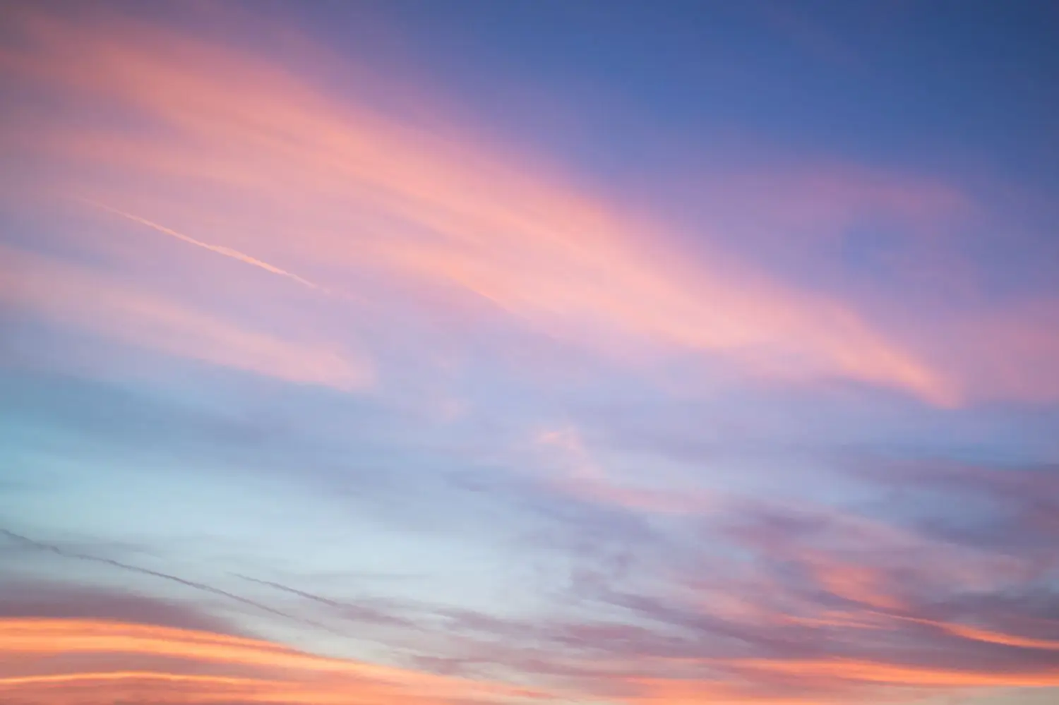 15 Best Things to Do in Flat Rock, NC