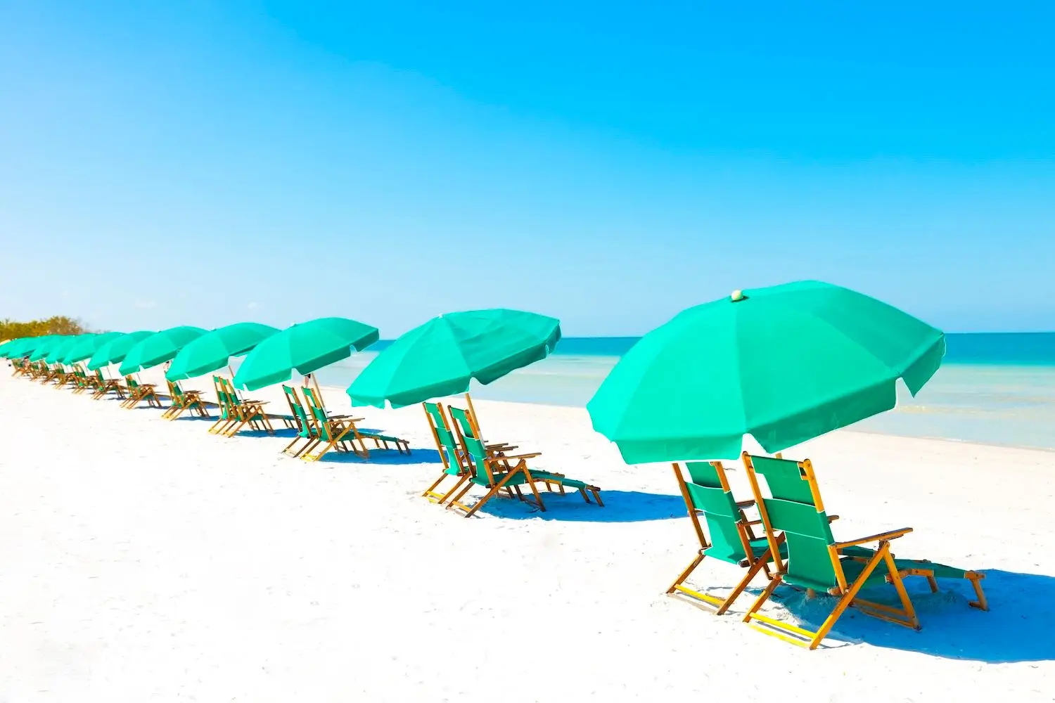 72 Best Things to Do in Florida