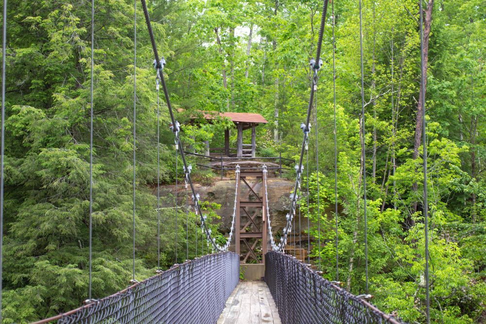 Footbridge in Jamestown
