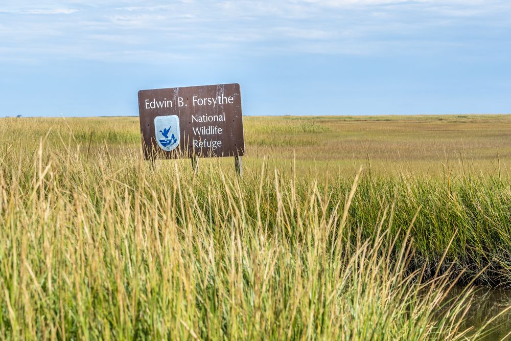 Signage of Forsythe National Wildlife Refuge