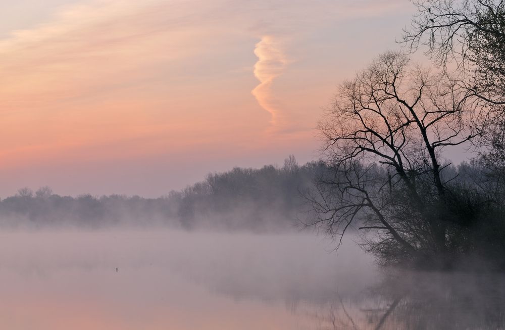 Fort Custer Recreation Area during fog