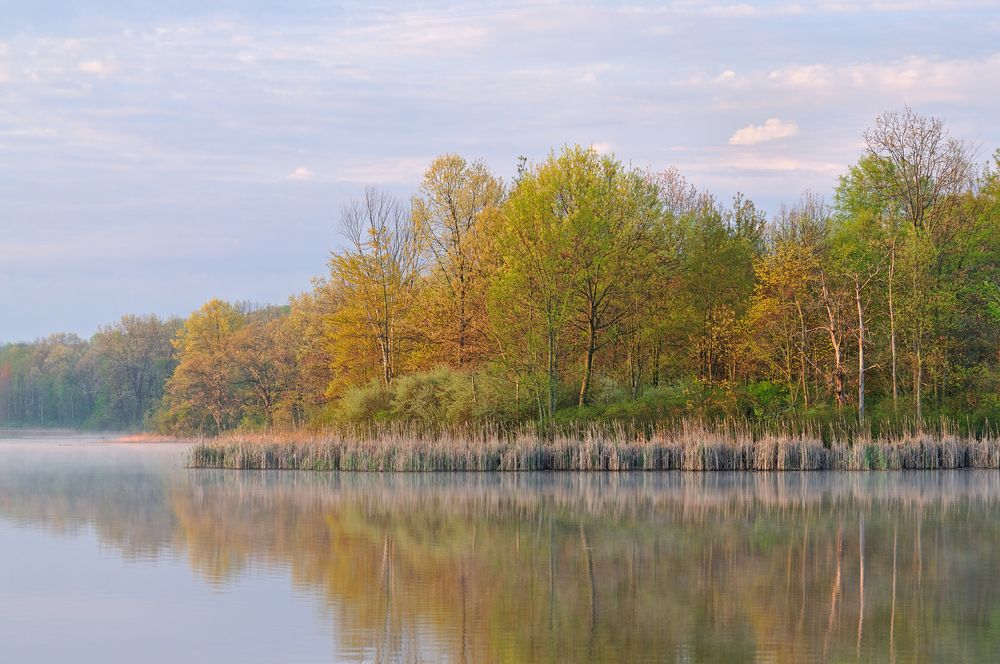 Scenic view of Fort Custer Recreation Area