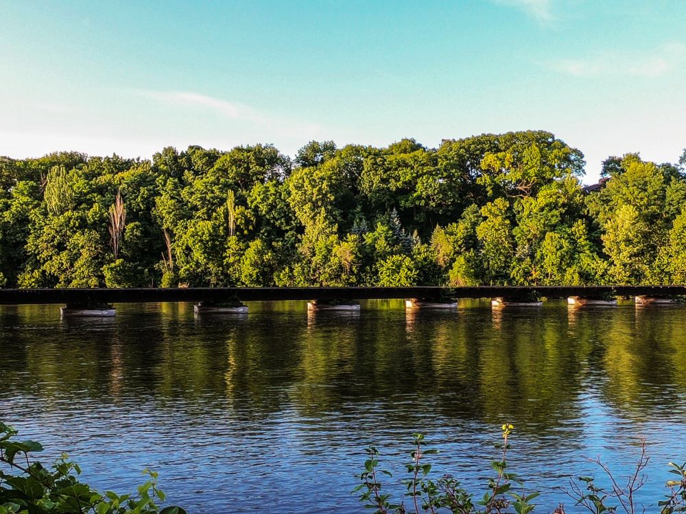  Trees surrounding Fox River