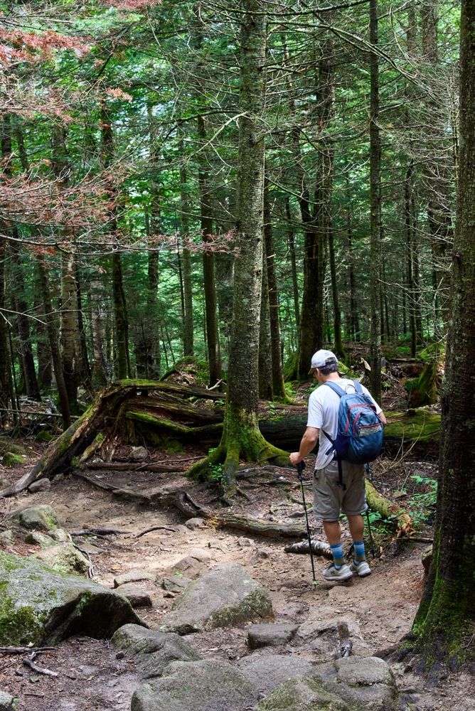 A man hiking at Franconia Notch State Park