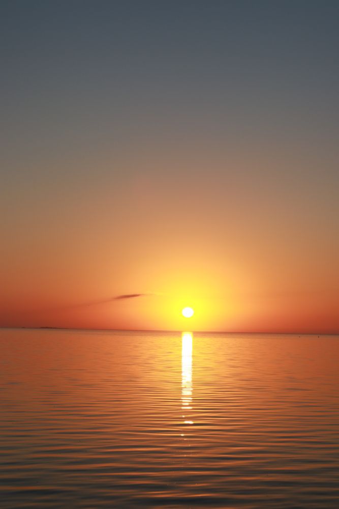 Sunset at Fred Howard Park