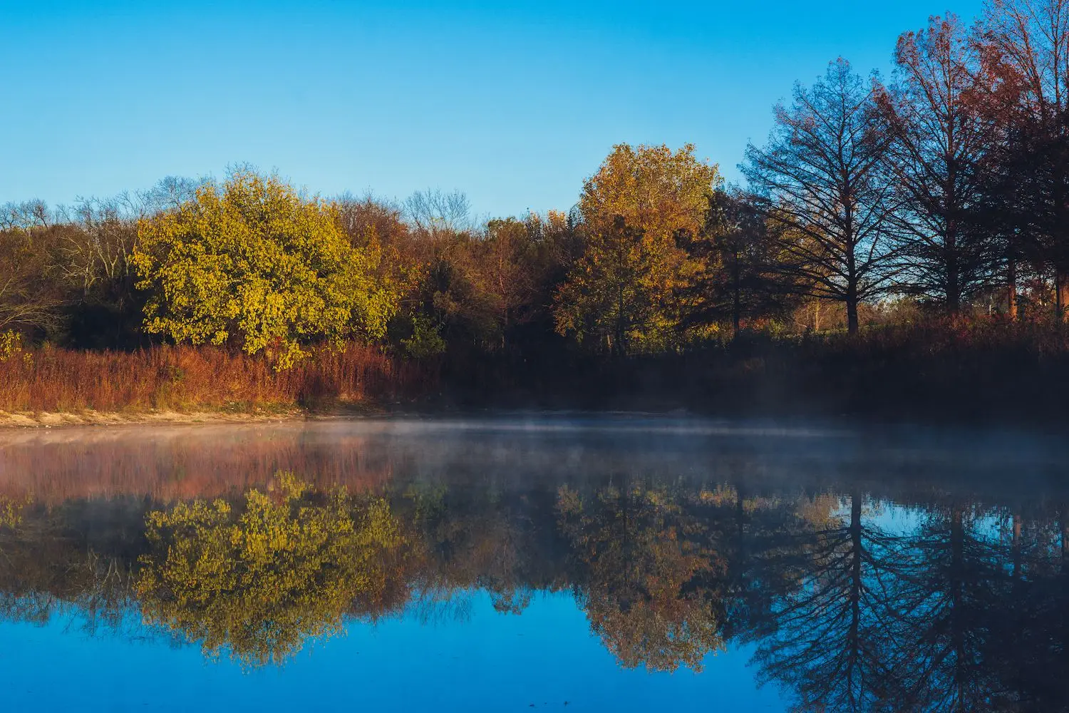 15 Free Things to Do in Garland, TX