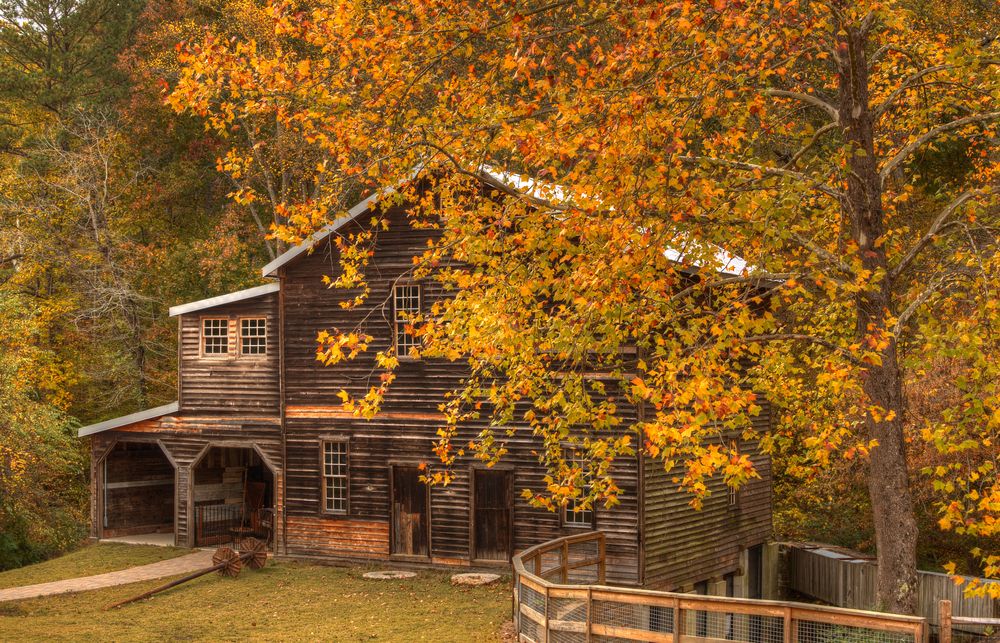 Scenic view at Freeman's Mill Park with fall leaves in the foreground