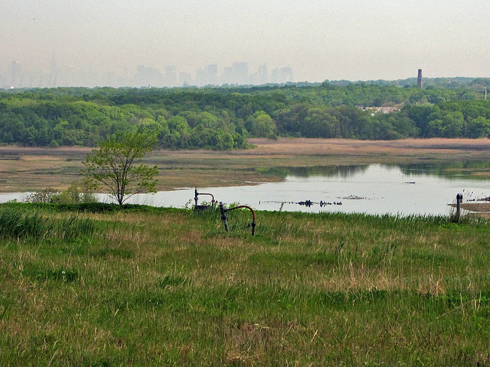 Scenic view of Freshkills Park