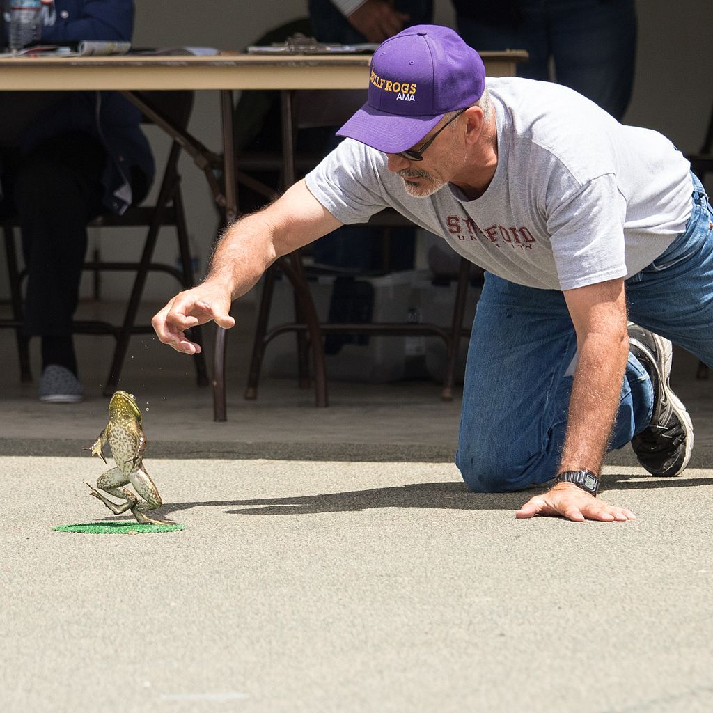 View of Calaveras Frog Jump
