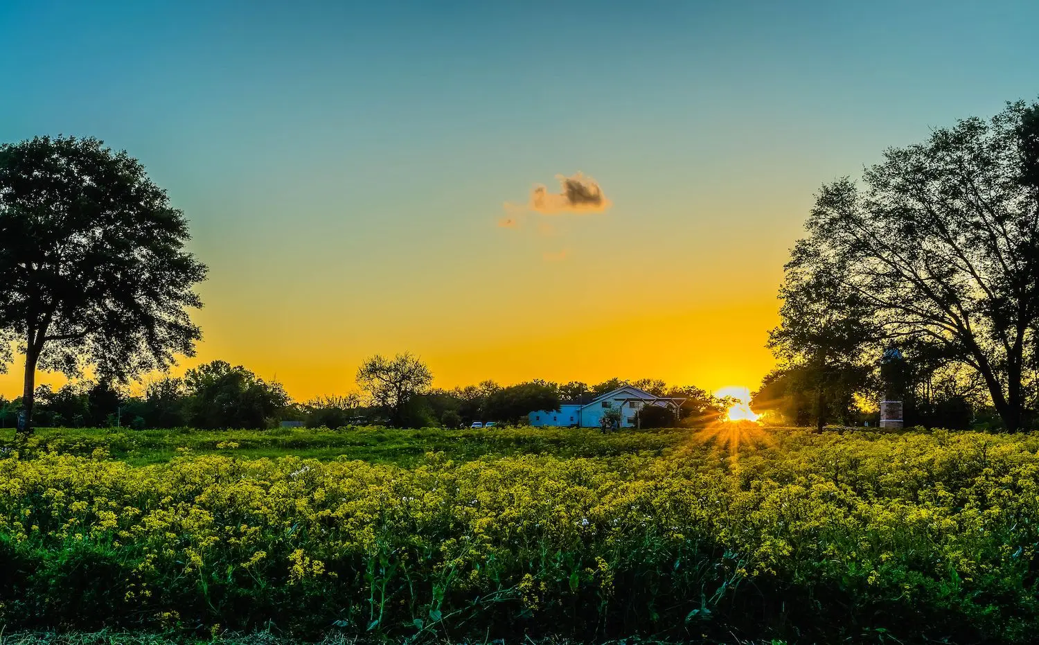 15 Best Things to Do in Fulshear, TX