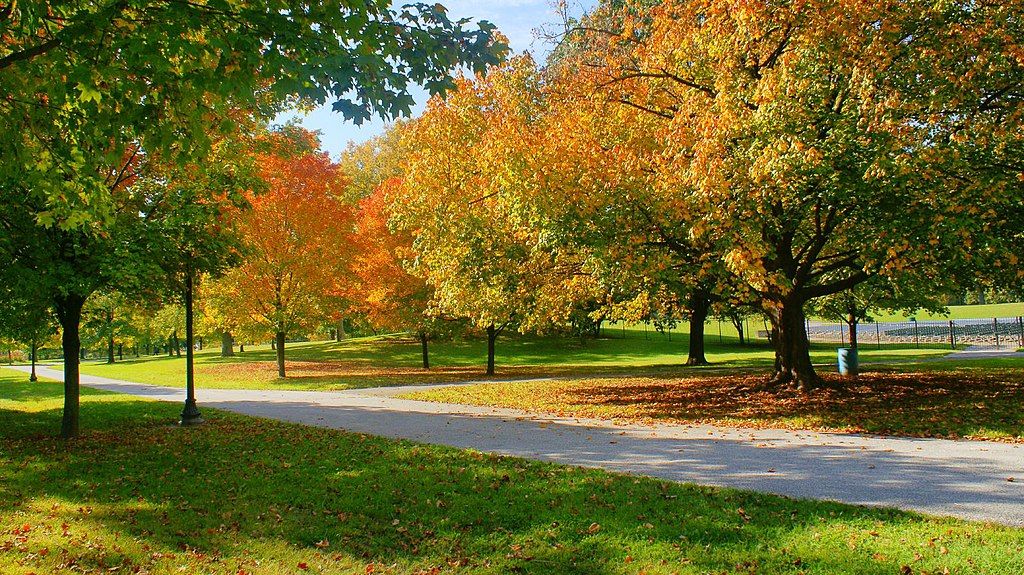 Nature trail at the Garfield Park Conservatory and Gardens
