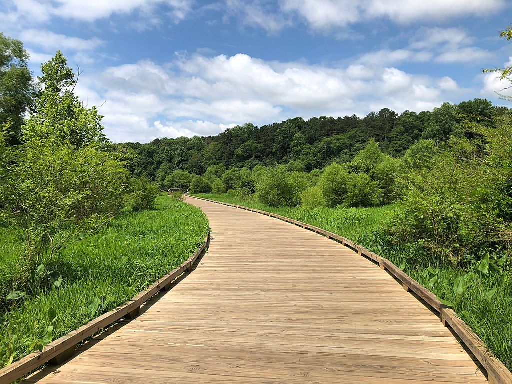 Boardwalk at George Pierce Park