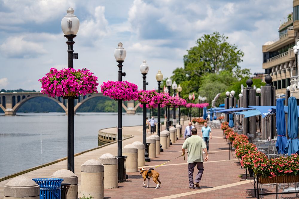 Visitors walking along the Georgetown Waterfront Park