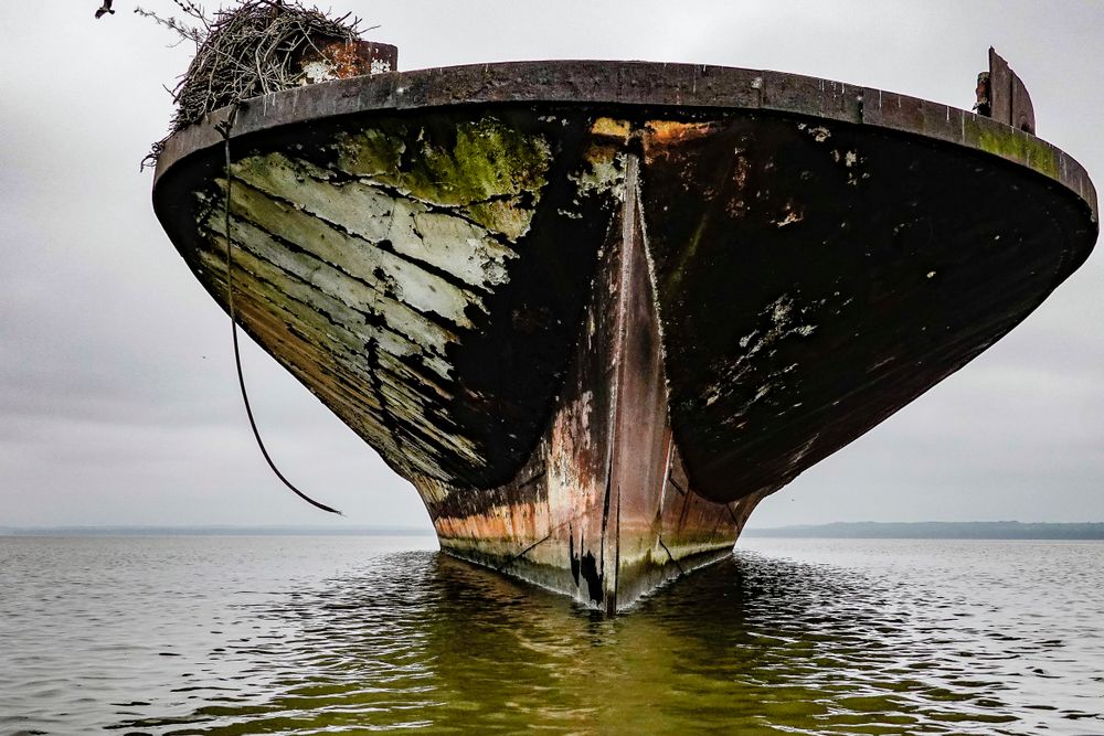 View of Ghost Fleet in Mallows Bay