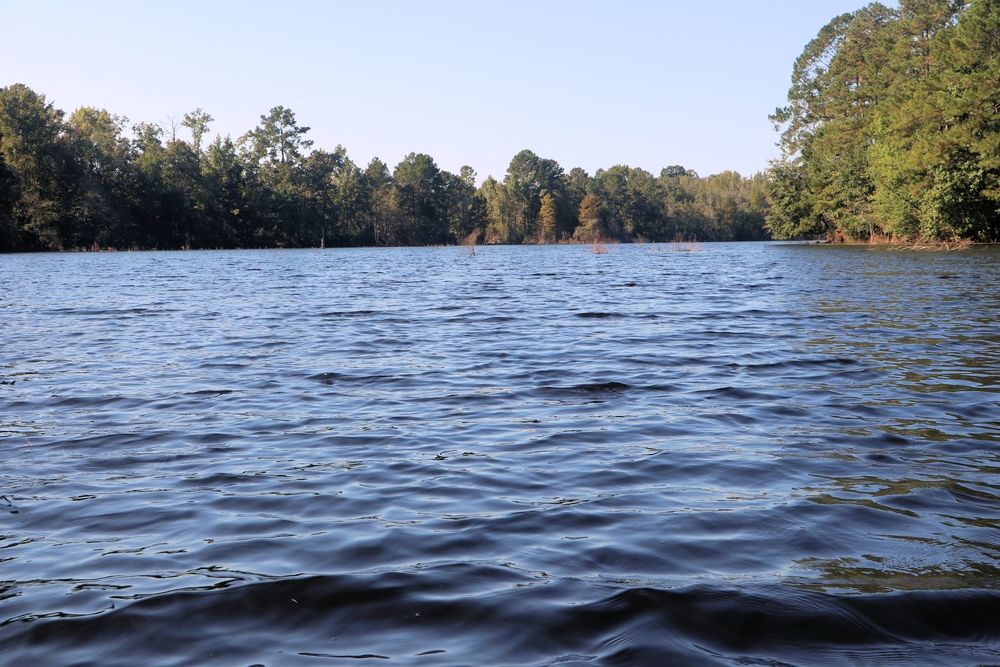 Calm water at Gibson Pond Park